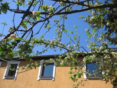 Frühling
