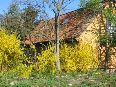 Frühling