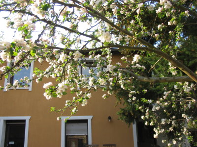 Frühling