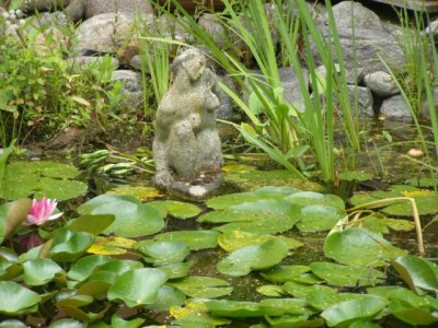 Teich mit Seejungfrau
