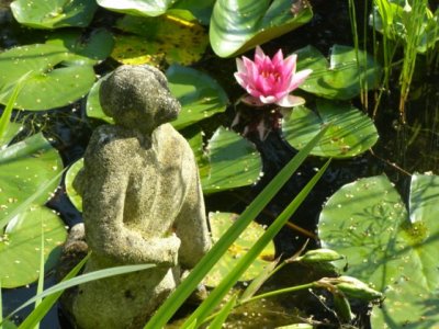 Seerose und Seejungfrau
