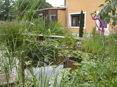Teich mit Wintergarten