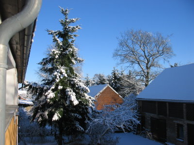 Winter