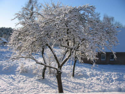 ganz viel Schnee